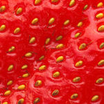 fraise toque et tablier