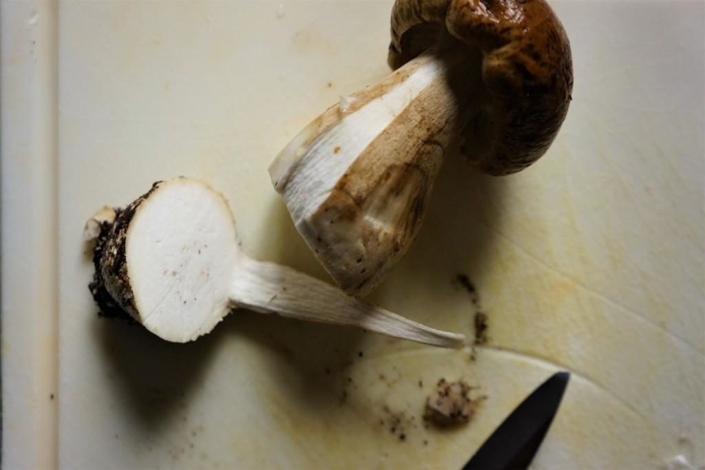 nettoyer cepes toque et tablier 