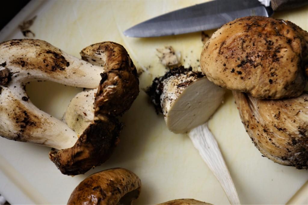 nettoyer cepes toque et tablier